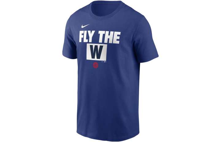 Nike Nike T Shirts Men's Blue Crew Neck Moderate Straight Fit