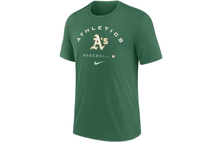 Nike Nike T Shirts Men's Green Crew Neck Moderate Straight Fit
