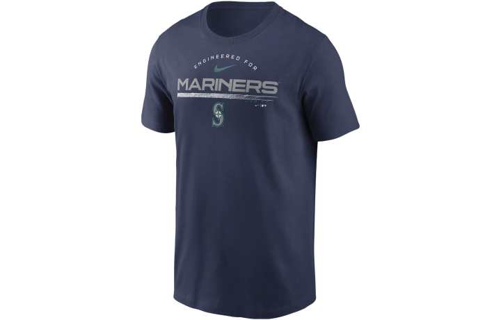 Nike Nike T Shirts Men's Blue Crew Neck Moderate Straight Fit