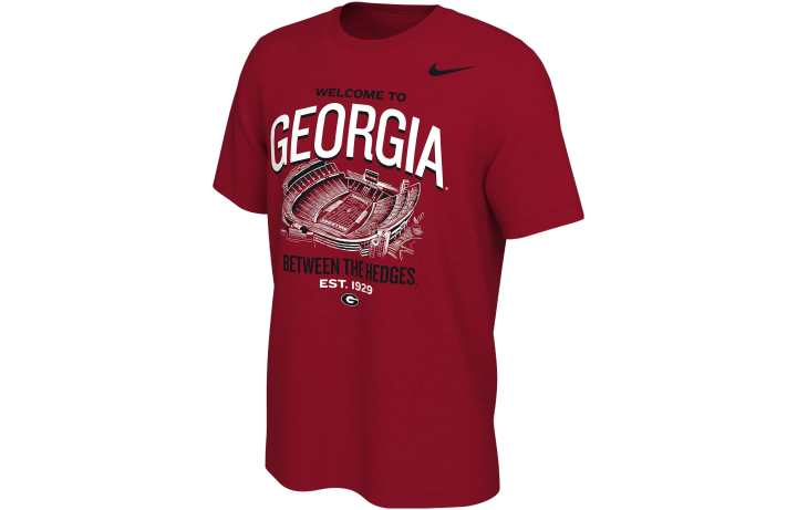 Nike Nike T Shirts Men's Red Crew Neck Moderate Straight Fit