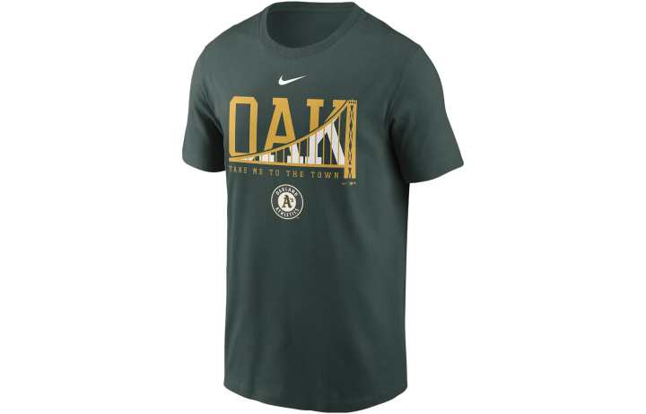 Nike Nike T Shirts Men's Green Crew Neck Moderate Straight Fit