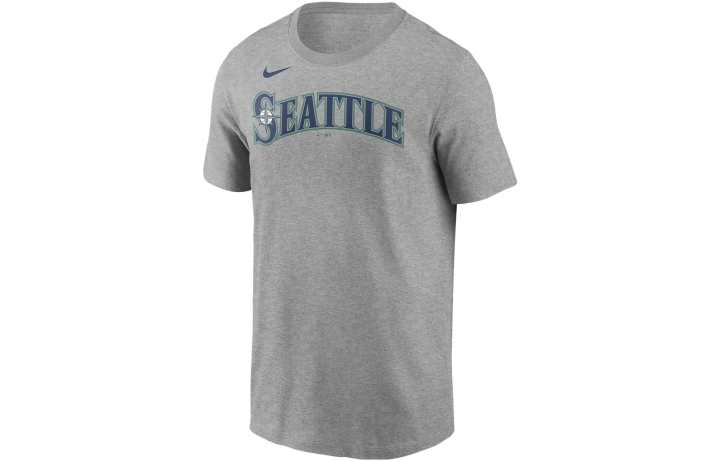Nike Nike T Shirts Men's Wolf Gray Crew Neck Moderate Straight Fit