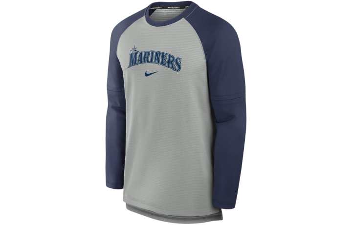 Nike Nike T Shirts Men's Gray Crew Neck Moderate Straight Fit