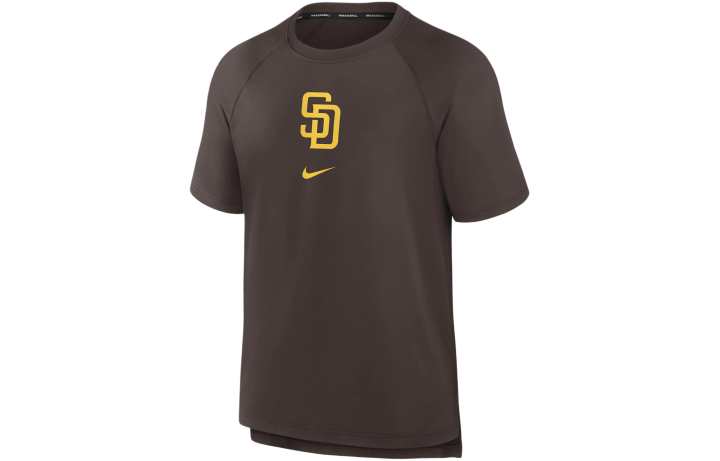 Nike Nike T Shirts Men's Brown Crew Neck Moderate Straight Fit