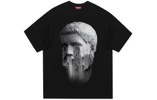 REXSHION T Shirts Unisex Crew Neck Moderate Straight Fit