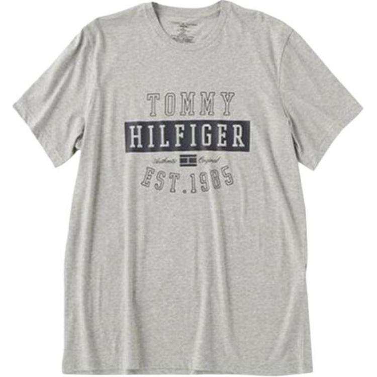 Tommy Hilfiger T Shirt Men's Gray