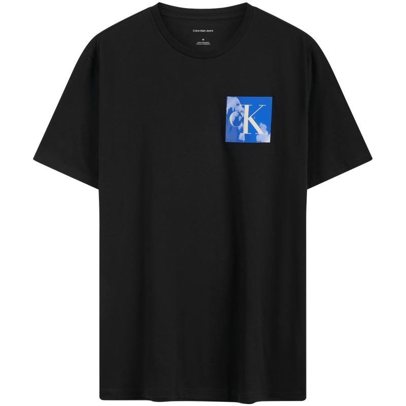 Calvin Klein T Shirts Men's Crew Neck Moderate