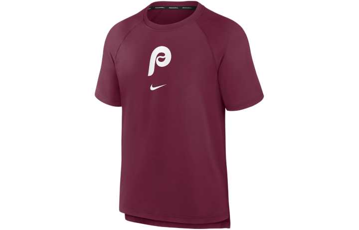 Nike Nike T Shirts Men's Chestnut Crew Neck Moderate Straight Fit