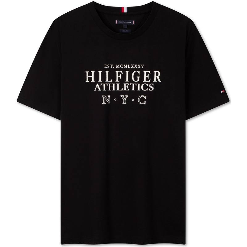 Tommy Hilfiger T Shirts Men's Crew Neck Moderate Other