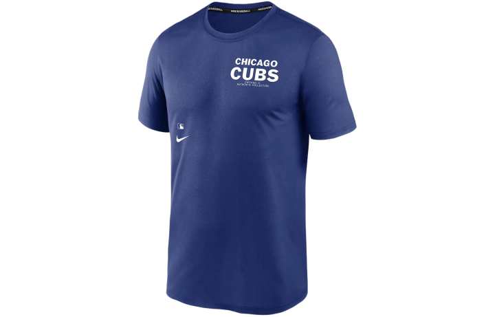 Nike Nike T Shirts Men's Blue Crew Neck Moderate Straight Fit