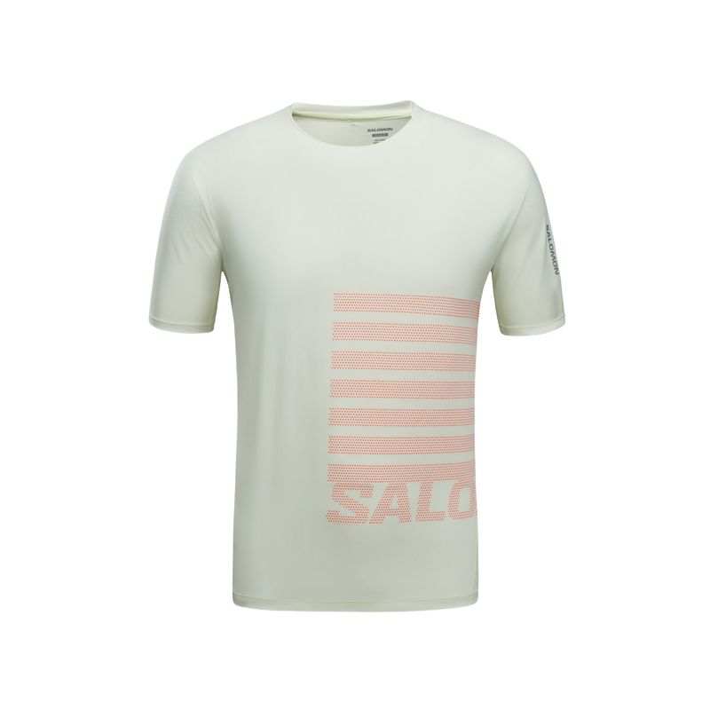 SALOMON Sense Aero SS T Shirt Men's Light Ice Green/Neon Red