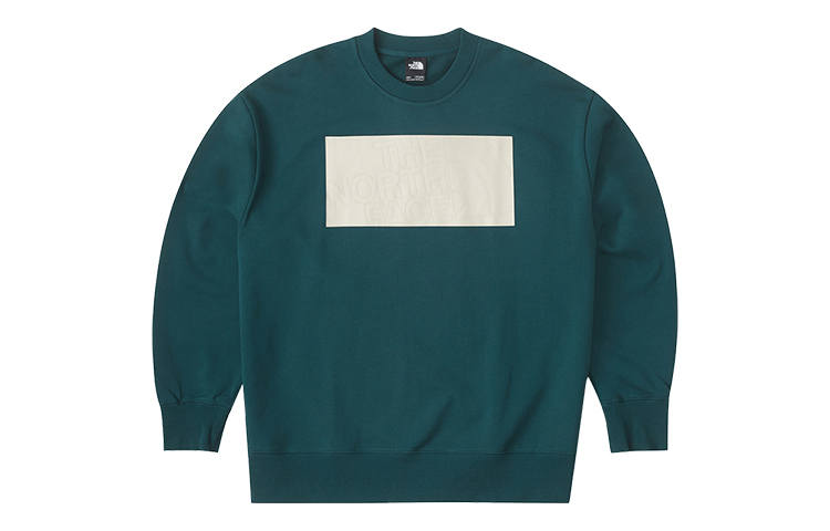 THE NORTH FACE Urban Exploration Sweatshirts Men's Blue Crew Neck Moderate Regular