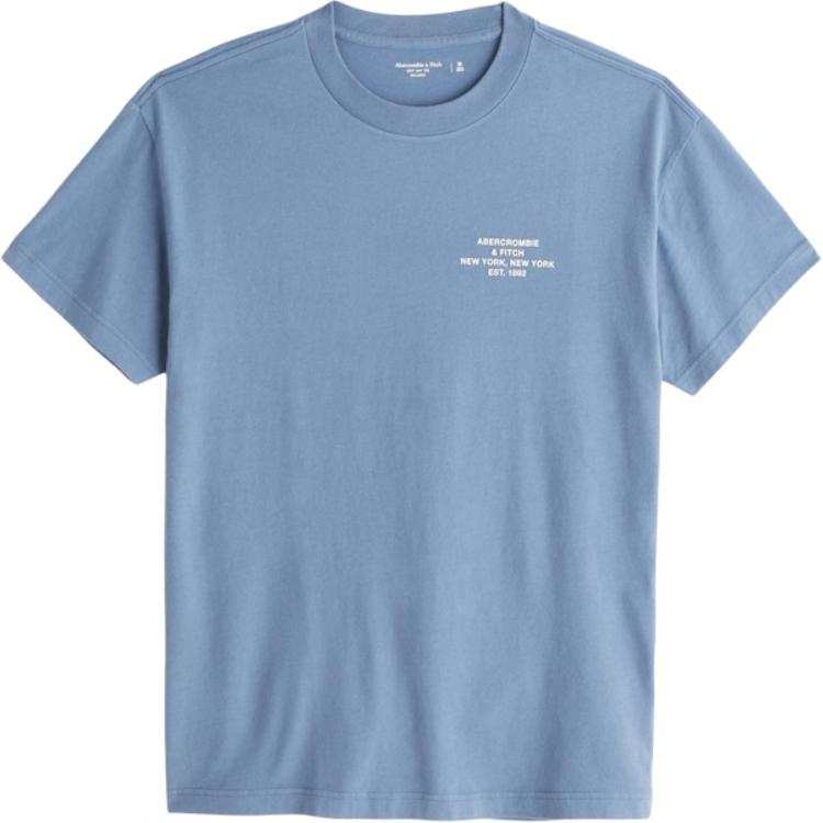 Abercrombie&Fitch T Shirt Men's Blue