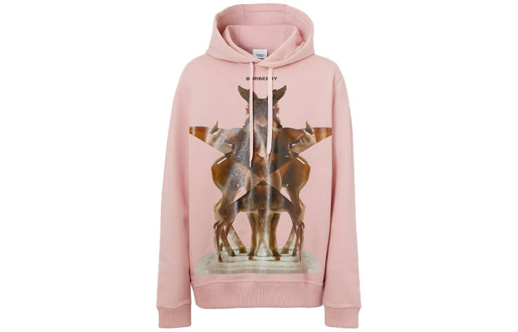 Burberry 2010s printed hoodie
