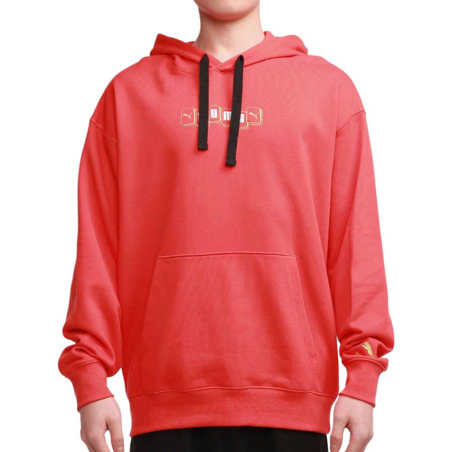 PUMA PUMA Sweatshirts Men's Red Hooded Moderate Regular