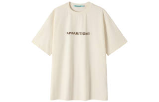 Apparition T Shirts Unisex Crew Neck Moderate Straight Fit