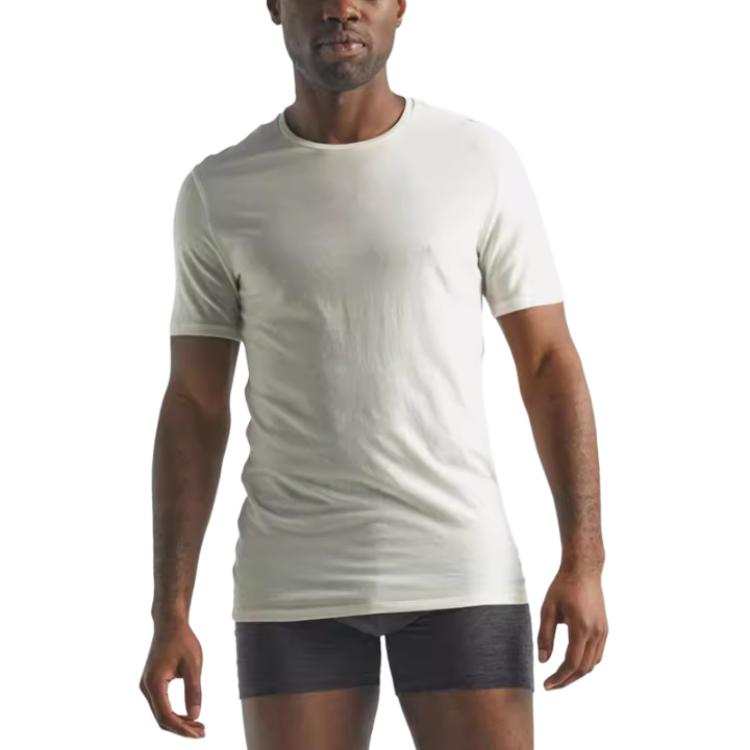 ICEBREAKER T Shirts Men's Crew Neck Moderate