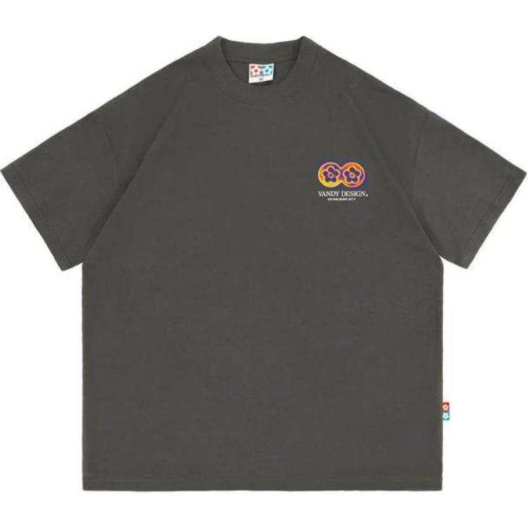 Vandy The Pink T Shirt Unisex Washed Gray