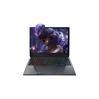 ThundeRobot Hunting Blade 16 I9 13900HX RTX5080 16 Inches 2.5K 300Hz