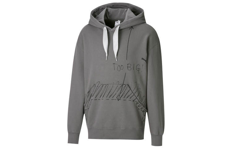 PUMA Sweatshirts Men's Gray Hooded Moderate Regular