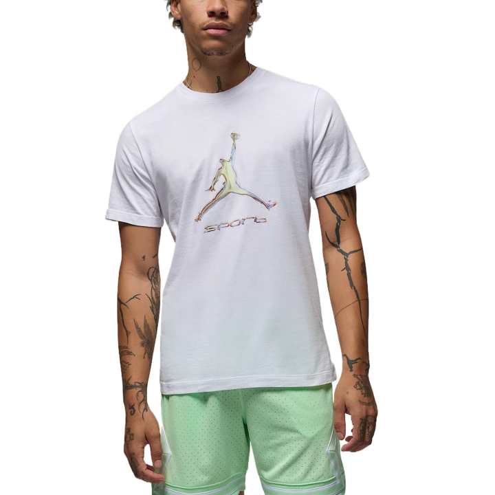 Jordan Jordan Sport Men's Dri FIT T Shirt