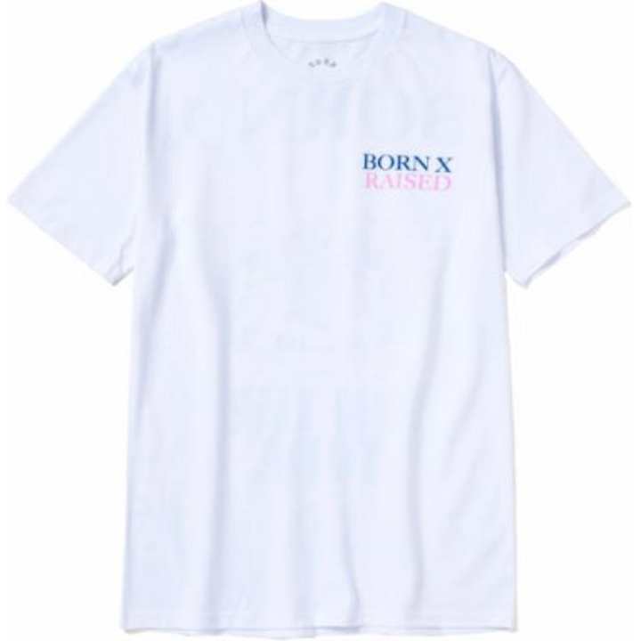 Nike Nike Sb Born X Raised Capital Head Tee