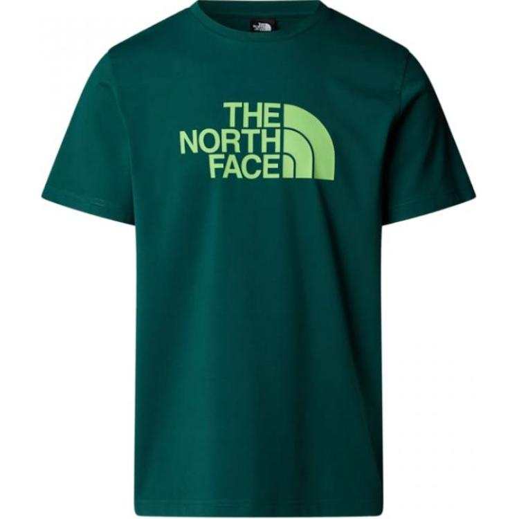 THE NORTH FACE Logo print T shirt