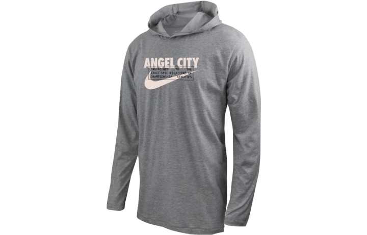 Nike Nike Sweatshirts Men's Light Gray Hooded Moderate Other