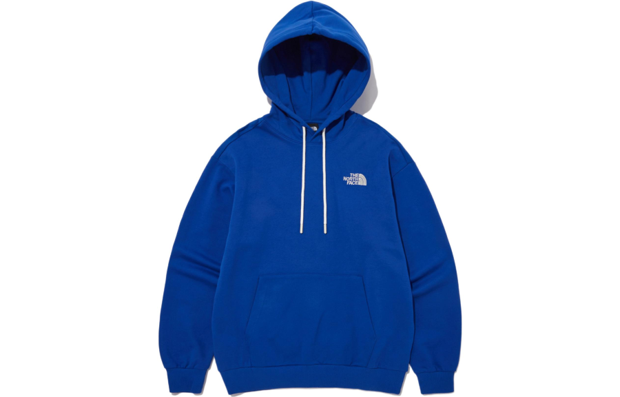 THE NORTH FACE Axys Logo Printed Hoodie
