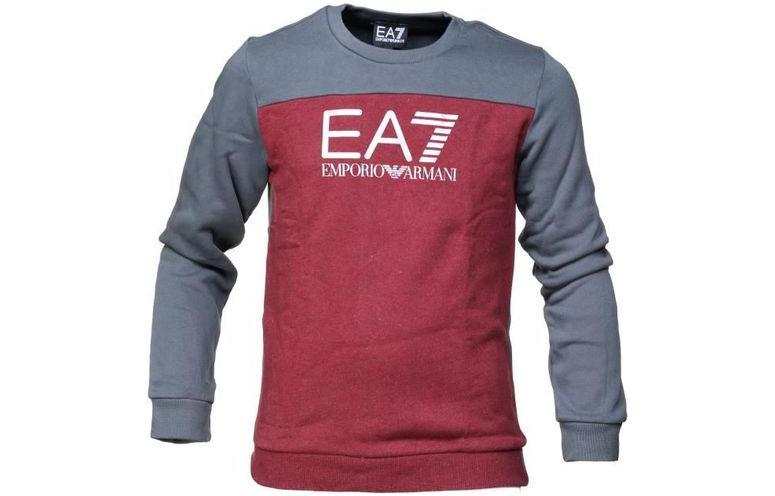 EMPORIO ARMANI EA7 SS23 Sweatshirt Men's Multicolor