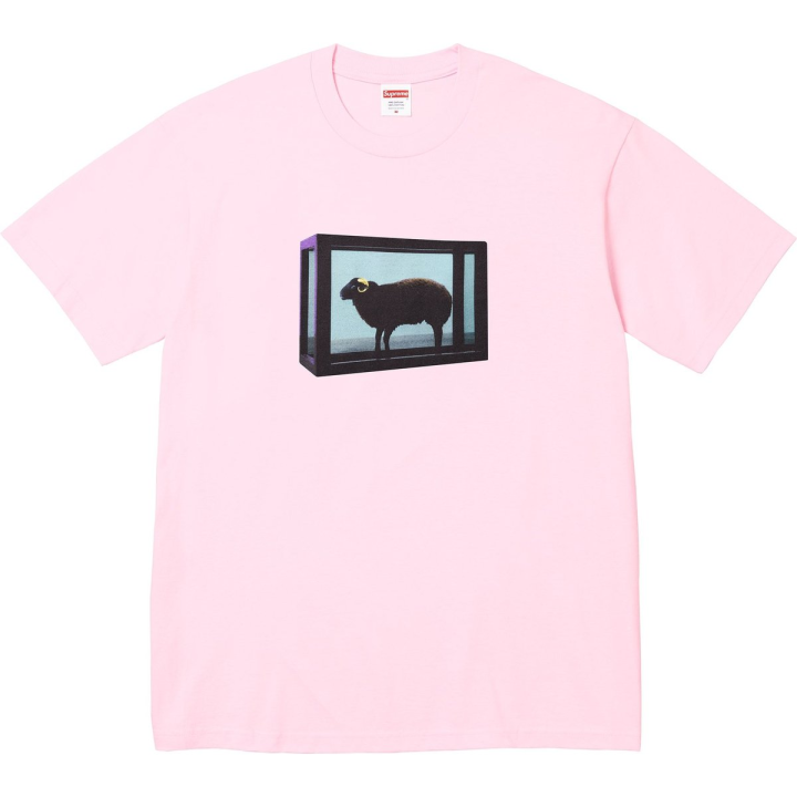 Supreme Supreme X Damien Hirst Tee