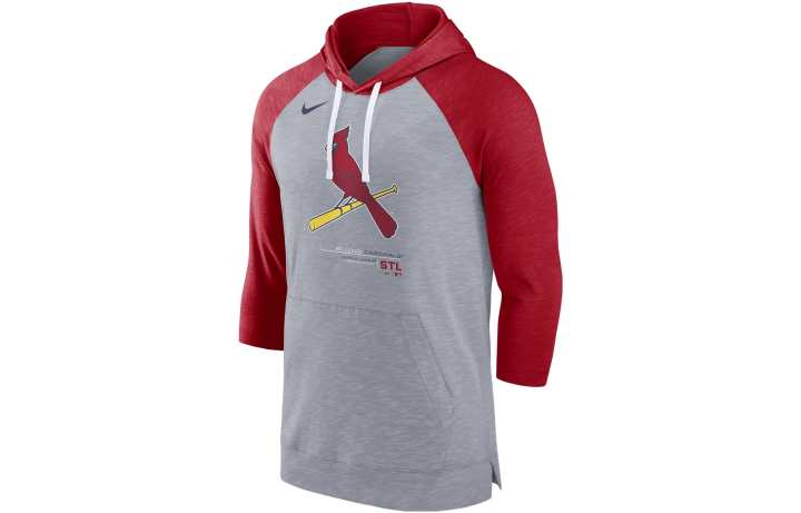 Nike Nike Sweatshirts Men's Multicolor Hooded Moderate Regular