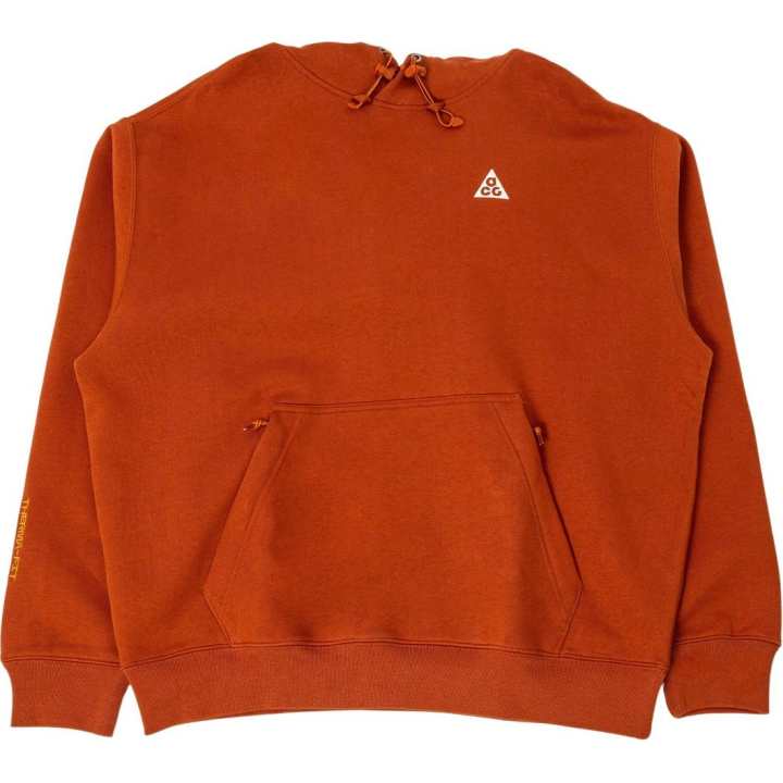 Nike Nike Sweatshirts Unisex Orange Hooded Moderate Regular