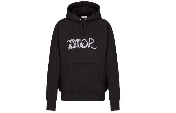 DIOR DIOR X Peter Doig Embroidered Logo Hooded Sweatshirt