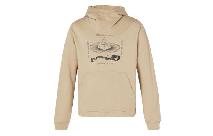 Nike Nike Sweatshirts Men's Khaki Hooded Moderate Regular