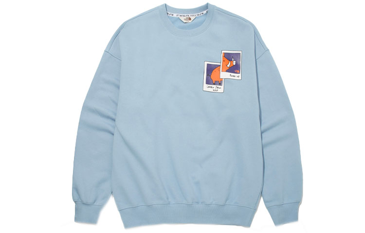 THE NORTH FACE Sweatshirts Unisex Blue Crew Neck Moderate Other