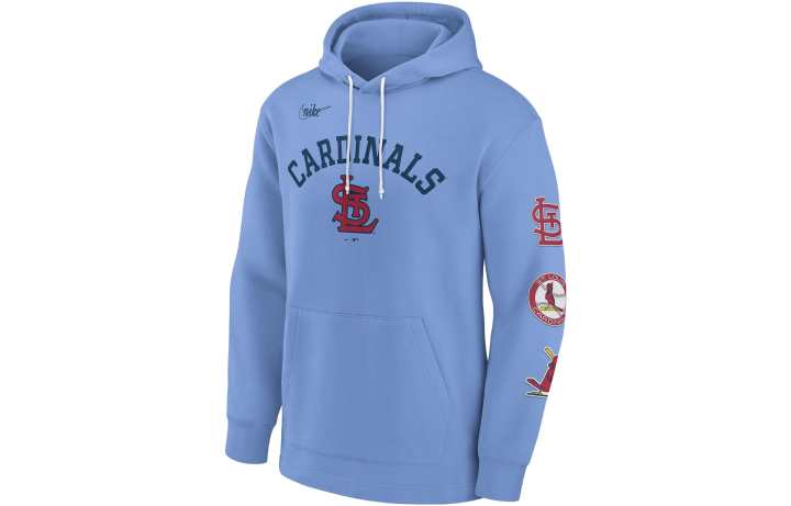 Nike Nike Sweatshirts Men's Blue Hooded Moderate Regular