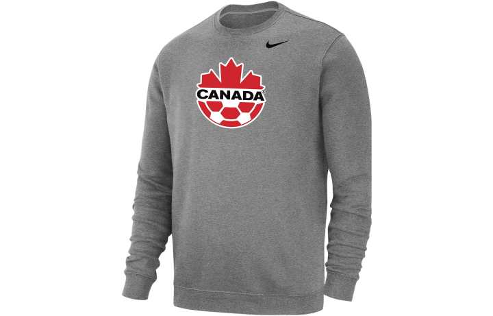 Nike Nike Sweatshirts Men's Gray Crew Neck Moderate Other