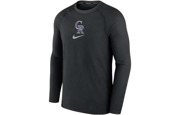 Nike Nike Sweatshirts Men's Gray Crew Neck Moderate Regular