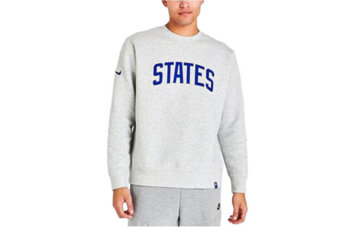 Nike Nike Sweatshirts Men's Gray Crew Neck Moderate Regular