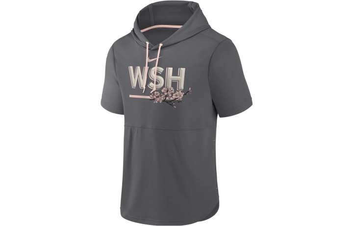 Nike Nike Sweatshirts Men's Gray Hooded Moderate Other