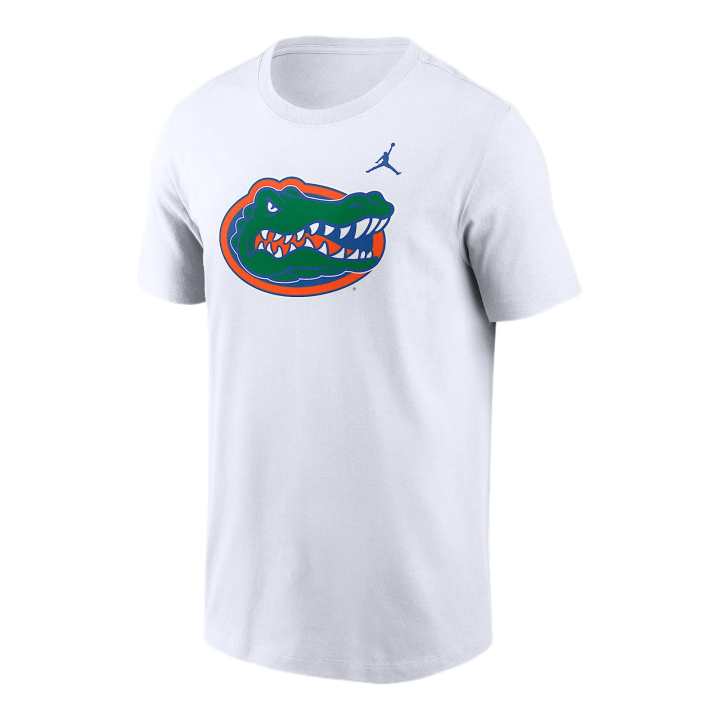 Nike Nike Florida Gators Primetime Logo Men's Nike College T Shirt