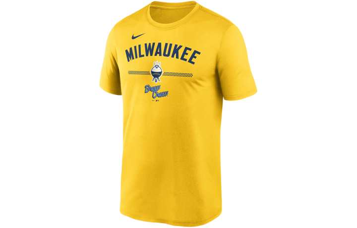 Nike Nike Michigan Sideline Legend Small Logo Men's Nike Brand Dri FIT College T Shirt
