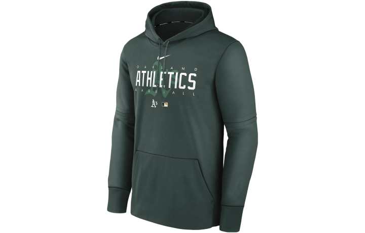 Nike Nike Sweatshirts Men's Green Hooded Moderate Regular