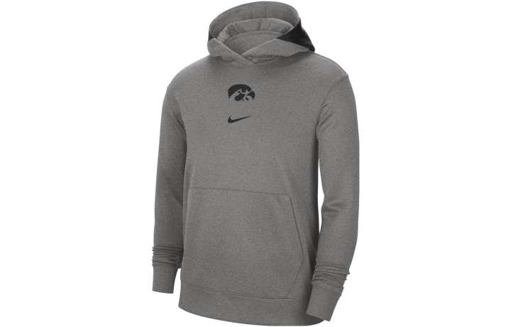 Nike Nike Sweatshirts Men's Gray Hooded Moderate Other