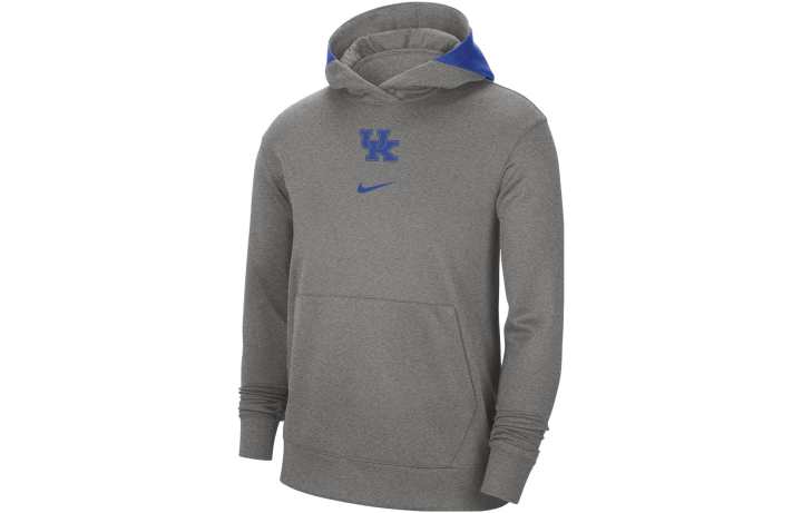 Nike Nike Sweatshirts Men's Gray Hooded Moderate Regular