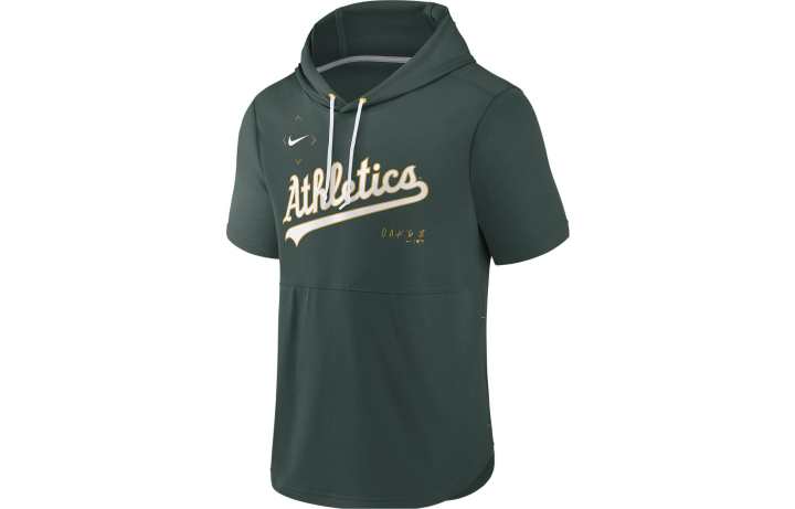 Nike Nike Sweatshirts Men's Green Hooded Moderate Regular