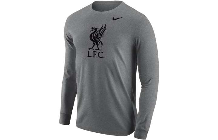 Nike Nike Sweatshirts Men's Light Gray Crew Neck Moderate Regular