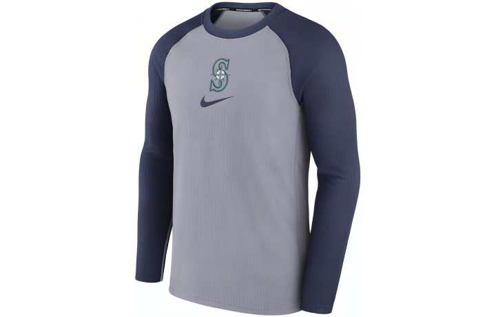 Nike Nike Sweatshirts Men's Gray Crew Neck Moderate Other