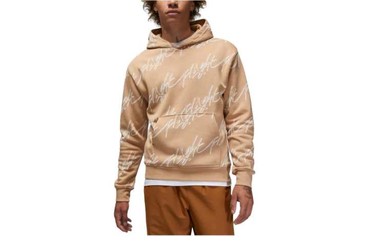 Jordan Jordan Sweatshirts Men's Khaki Hooded Moderate Regular